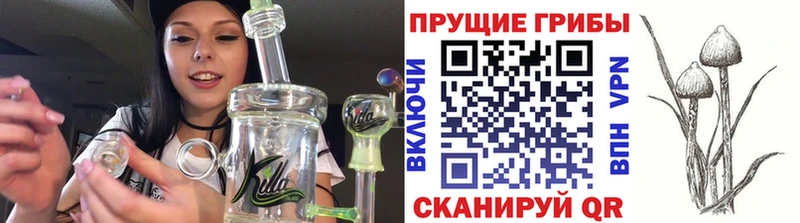 где купить наркоту Армянск Галлюциногенные грибы Cubensis